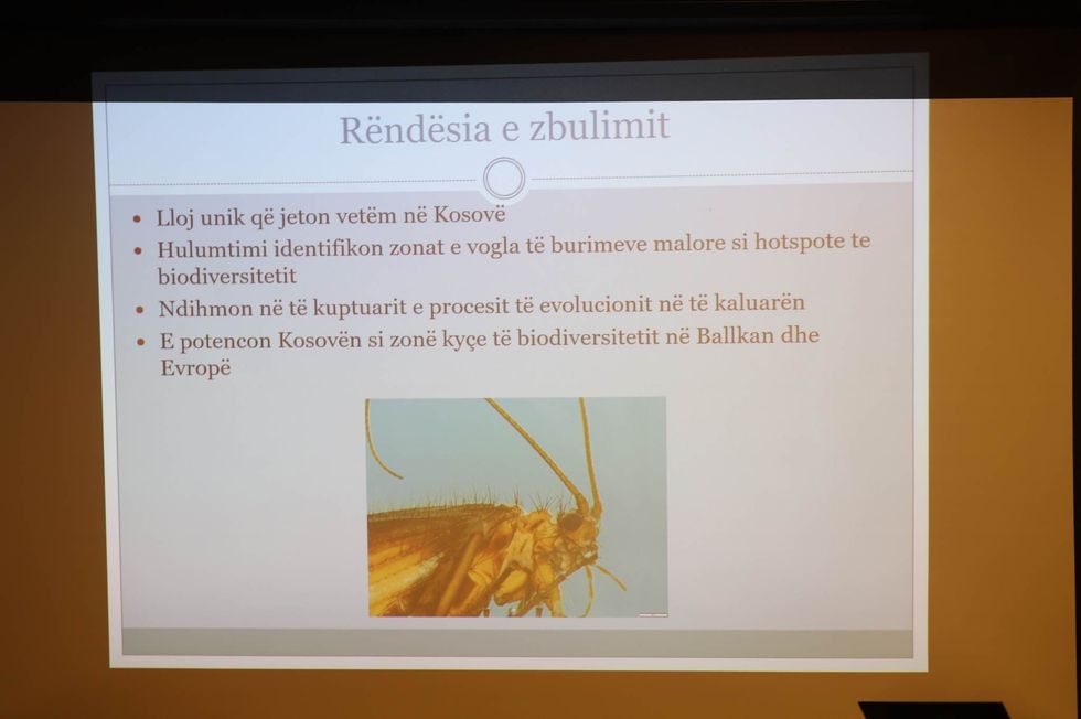 329814987 243499784680634 5141174318955900655 n