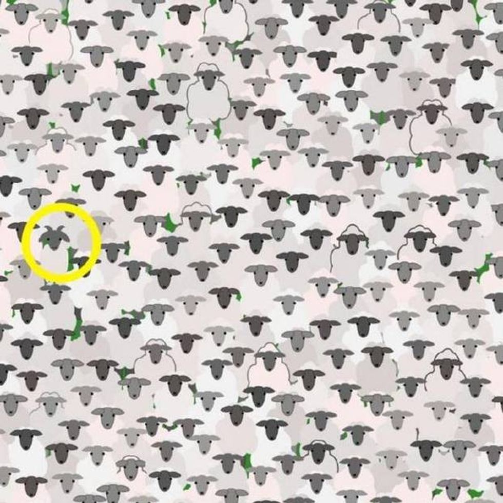 32a33334db2a59bde6b50f8fb2504bad