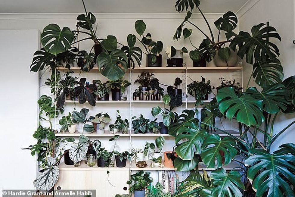 33287834 8708603 image a 111 1600321610210