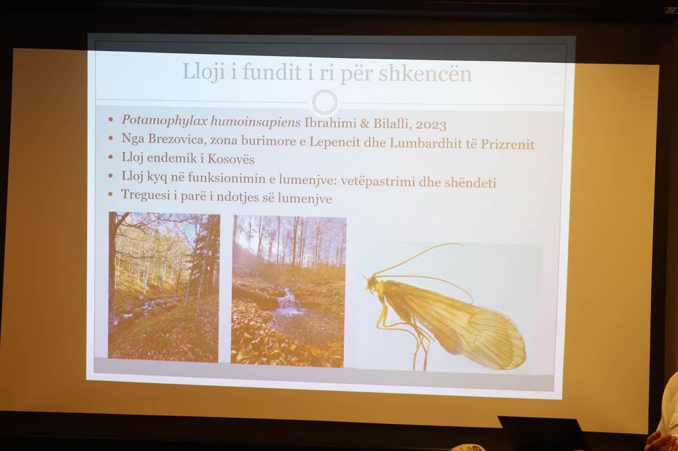 334168668 903060070731963 1857221653813428822 n