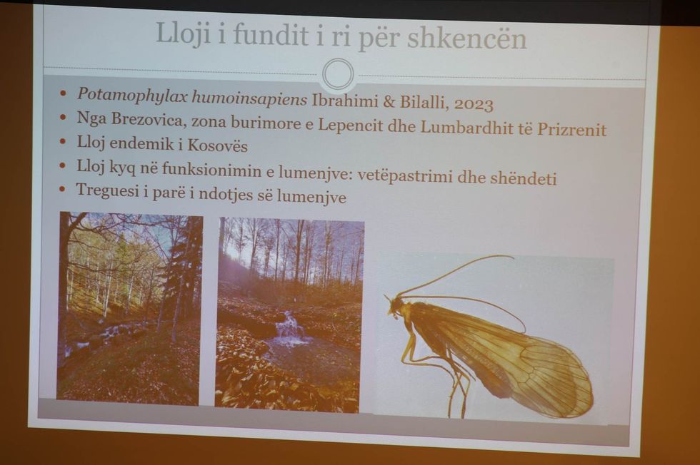 334239339 748207926864084 5031339375740848608 n