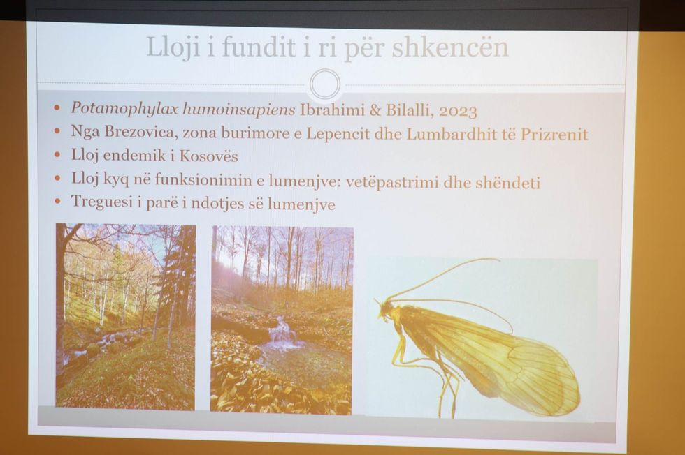 334472423 1209809656593751 7675365491940875617 n