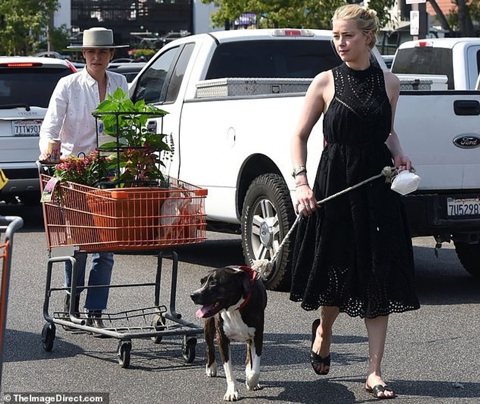 33740352 8783225 image m 45 1601336893169