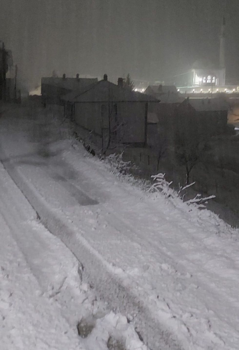 337858113 931419944563349 7428087384581118078 n e1679951048615