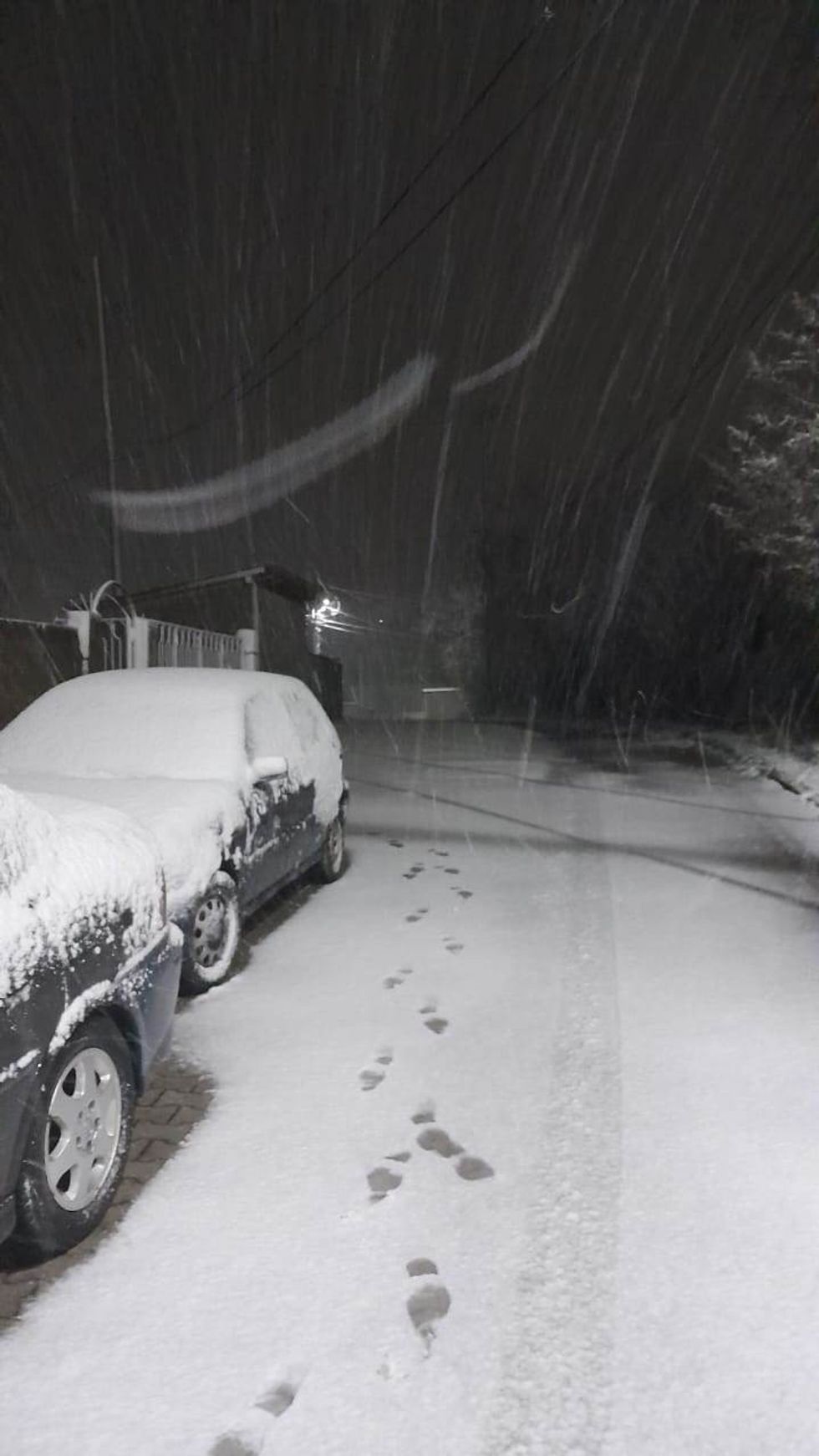 338311038 241120938320041 1276165835919829584 n