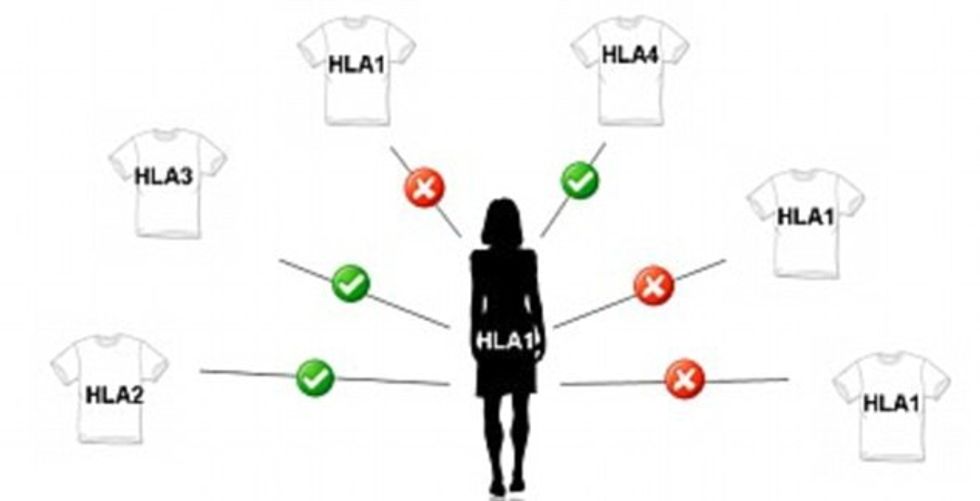 33A6441B00000578-3565402-image-a-44_1461925477033