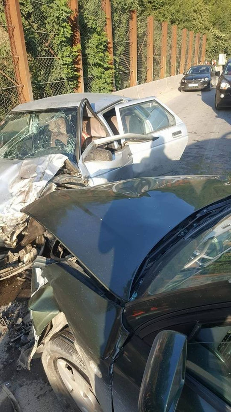 34102817 1680401802046064 5190179286694232064 n