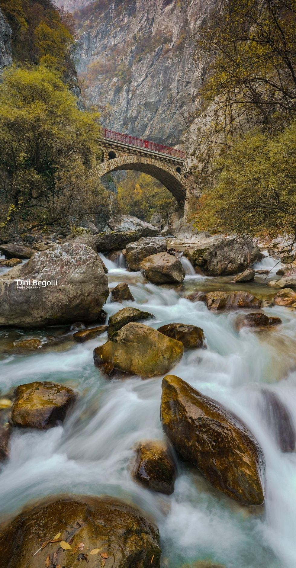 341847022 962715178242837 2528837859591412681 n