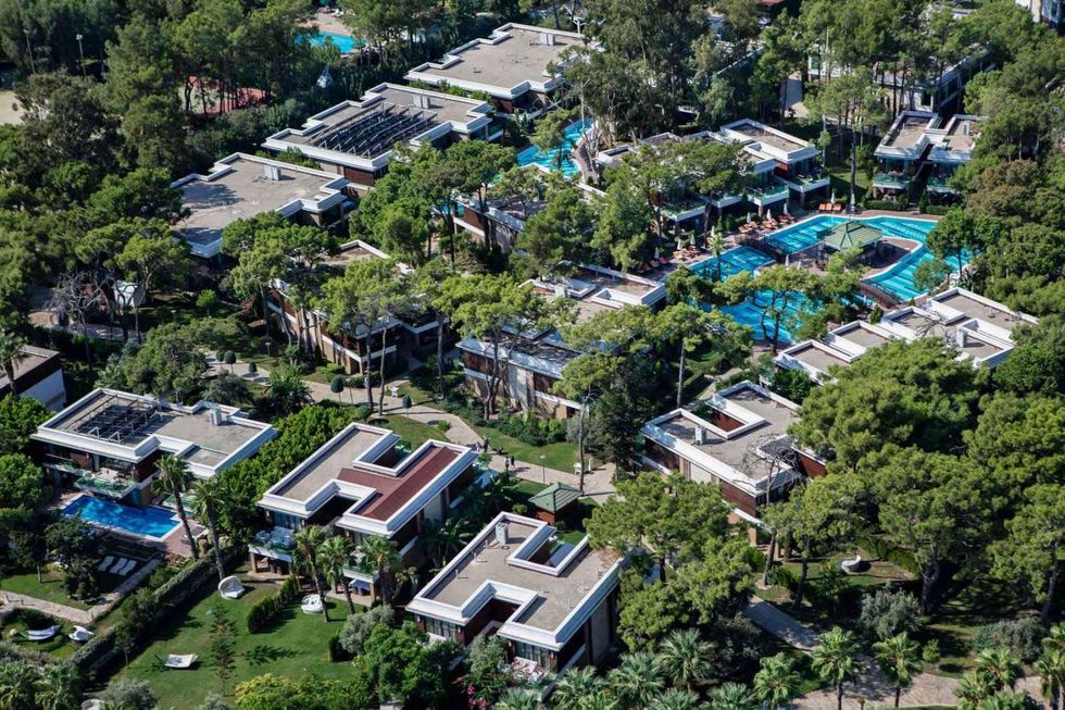 342009379 1644763462696517 8094744188546705344 n