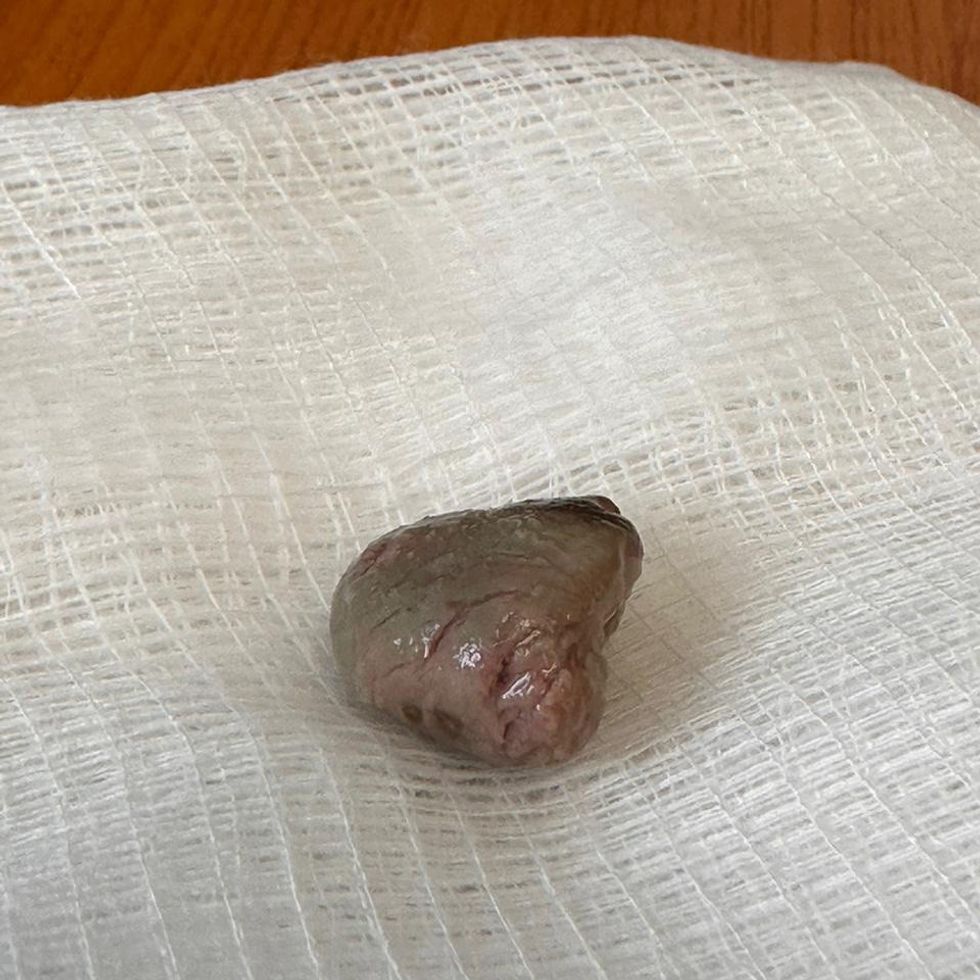 345213093 3522419091372007 8156322597673298518 n 1