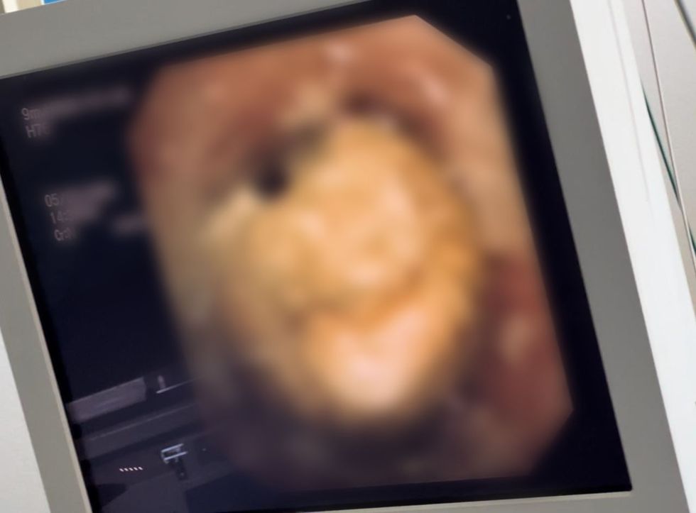 345320899 1408646139899870 3266839344108963437 n