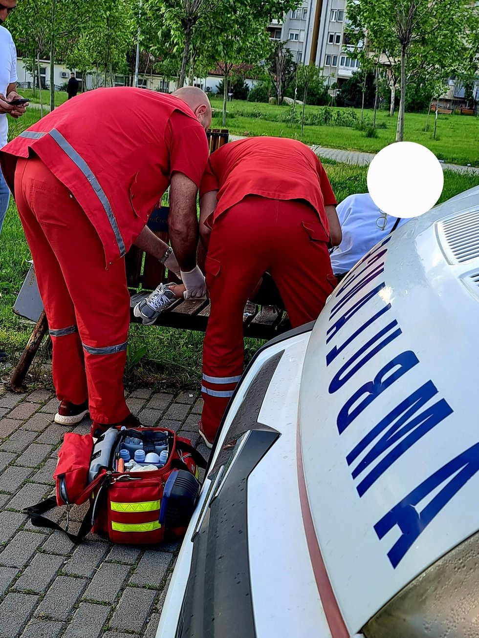 348380484 808409874075059 3050028344432511553 n