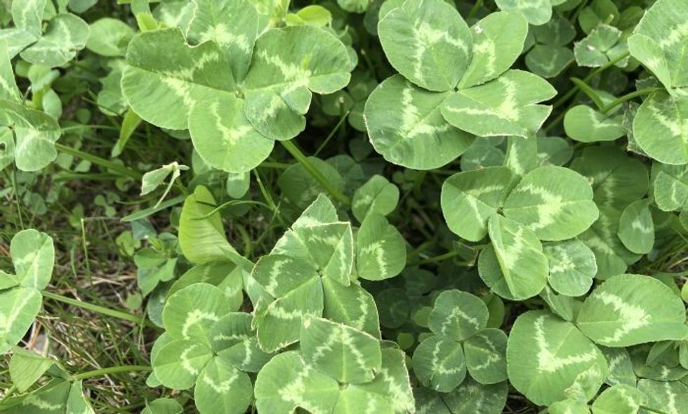 34f5717778ac6bd4d7d8a0345d3875758