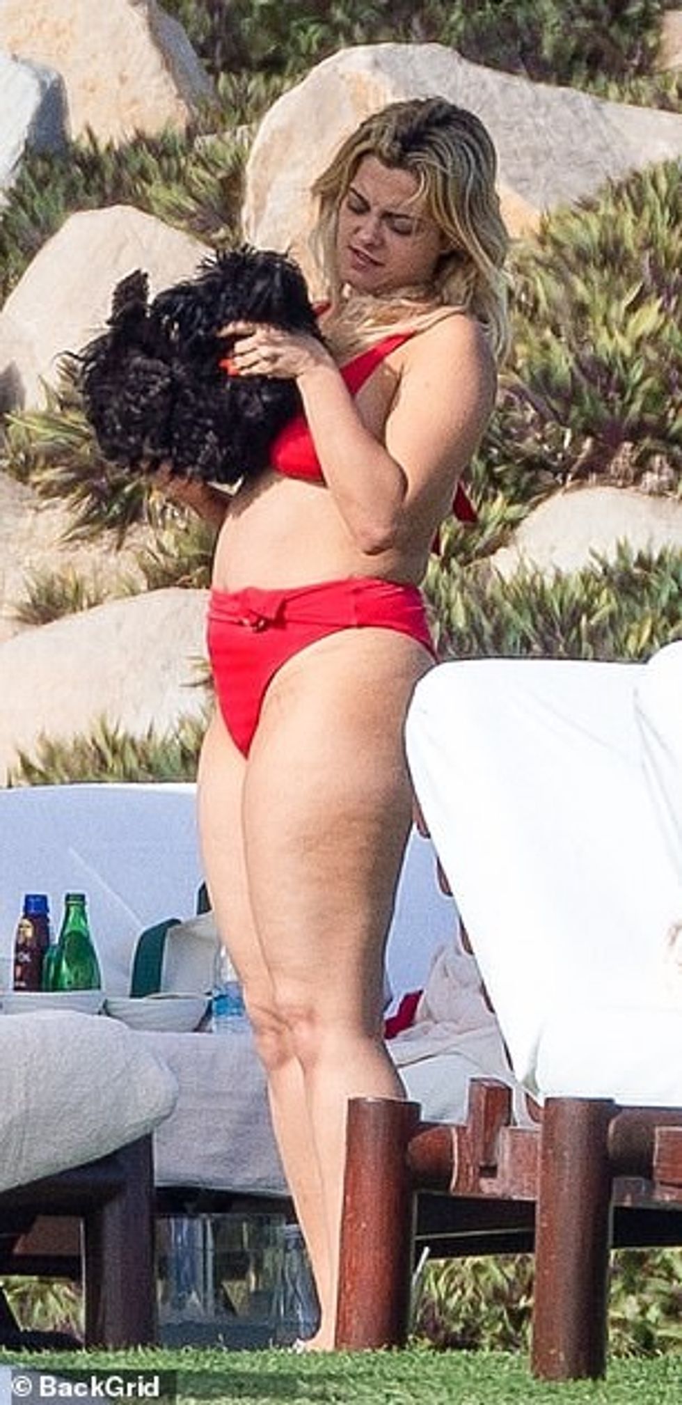 35165770 8907269 Fur baby The 31 year old singer appeared to have brought her dog a 114 1604381703555