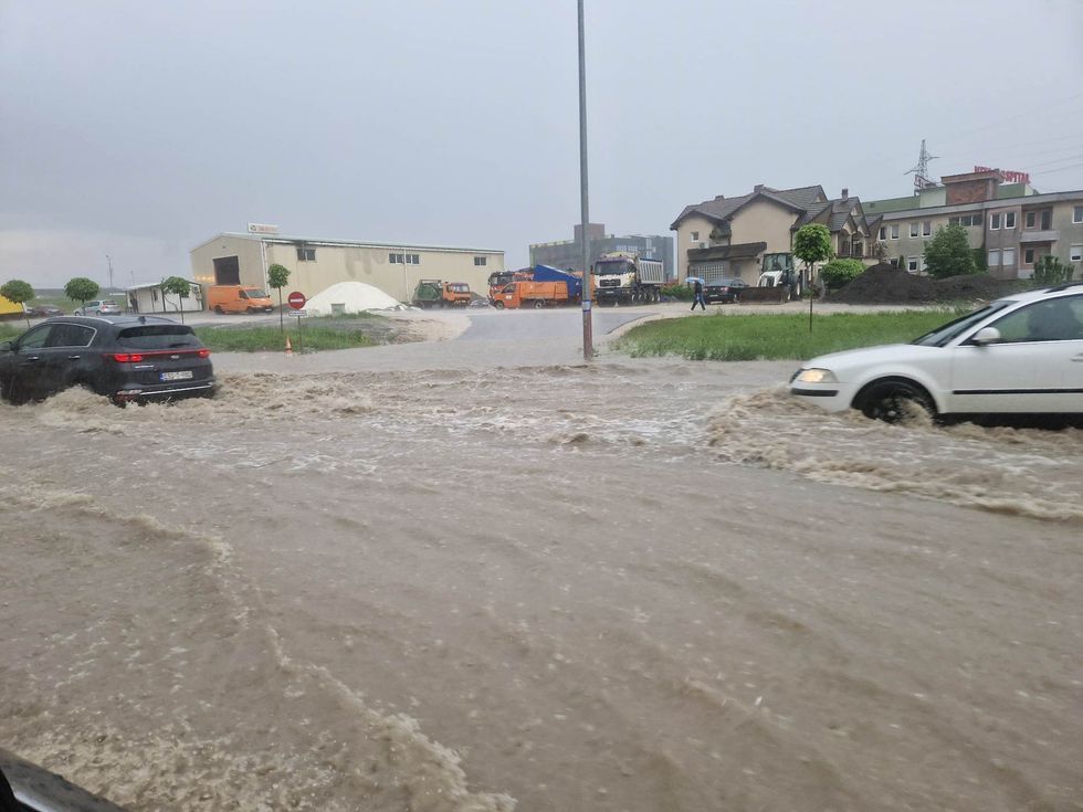 352103350 249576111048232 4594939899537801607 n