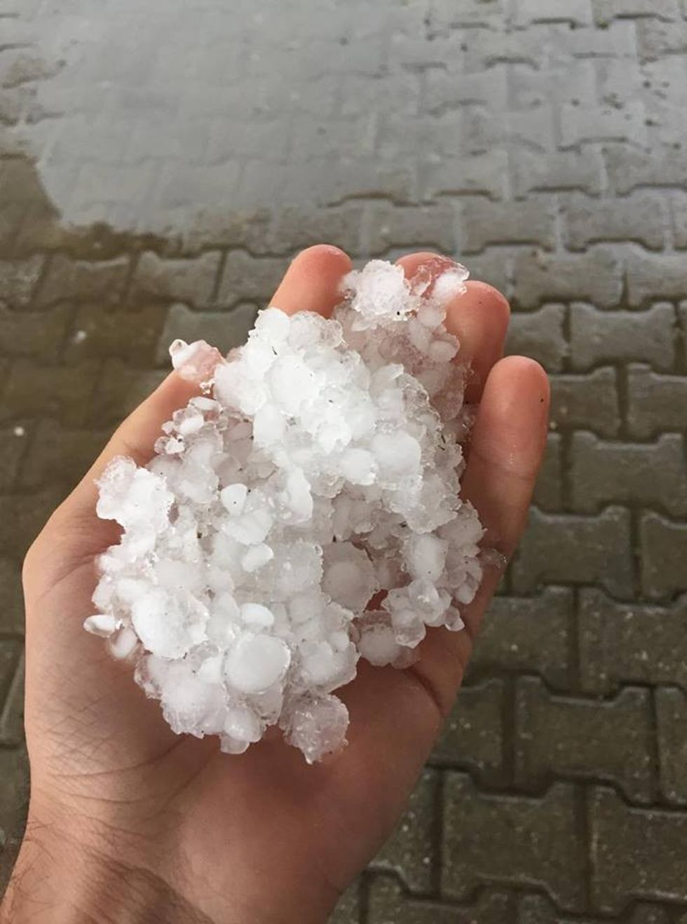 35273582 1921299007901315 5676142836098007040 n