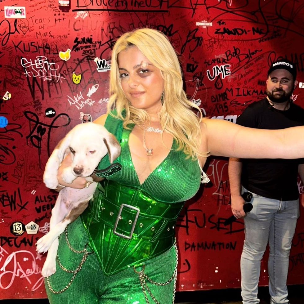 355441404 1766022017190480 651994444825998673 n