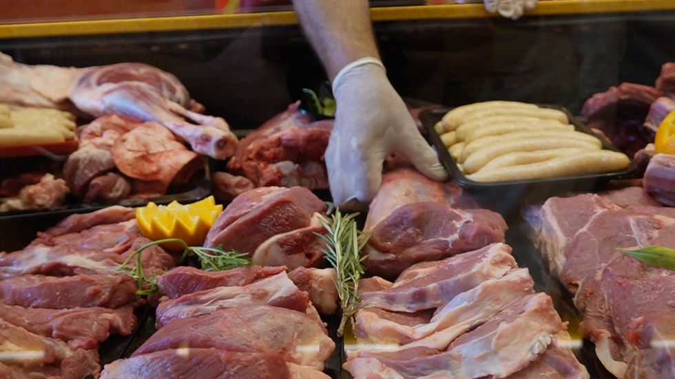 355690962 291285999960262 6424327457515013035 n 1