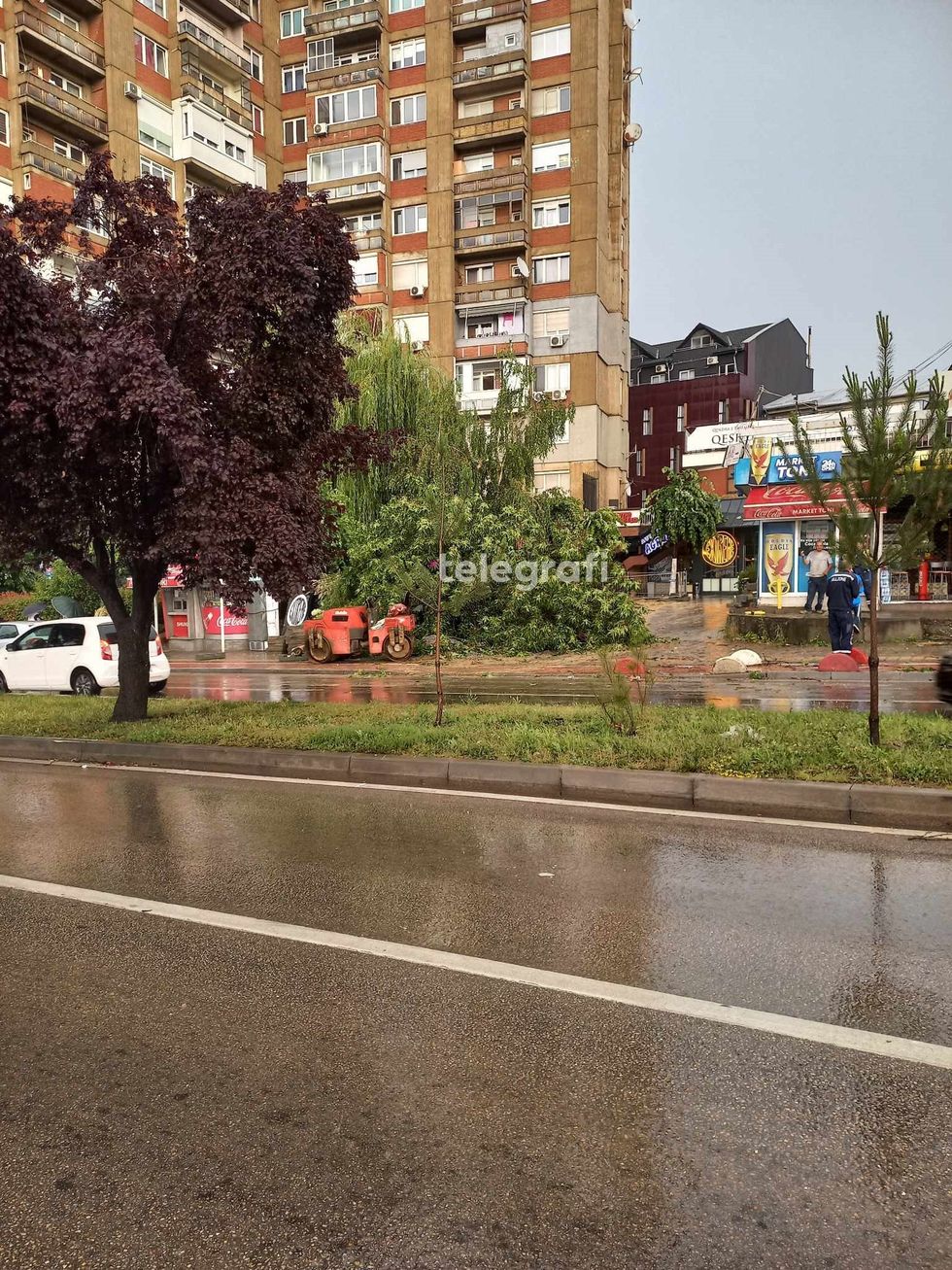 356085626 290370386686388 3672604012444738526 n