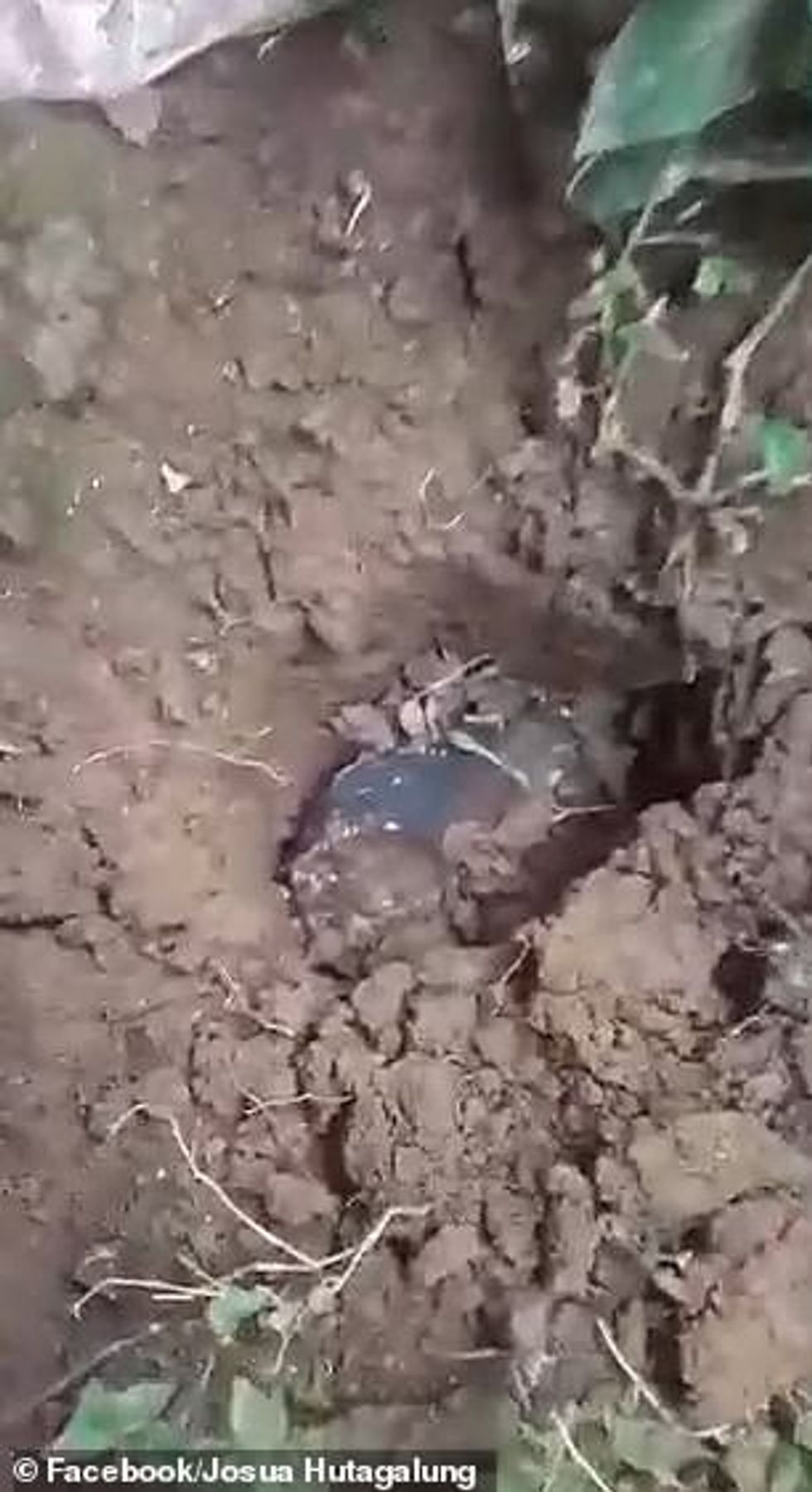 35780902 8958151 image m 145 1605629446851