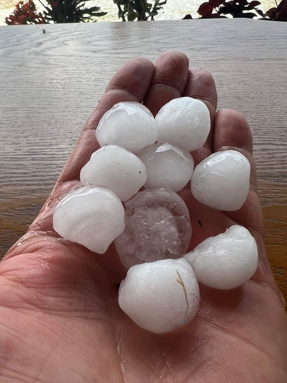 358119183 685509750258998 729839785155478292 n