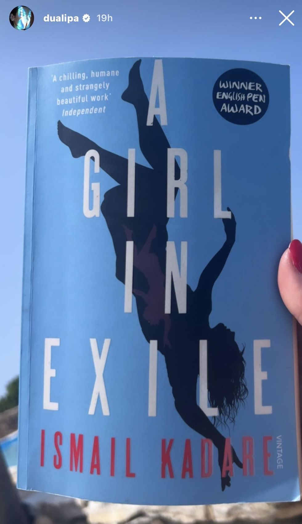 359540821 1977748072577050 5286192678910275293 n