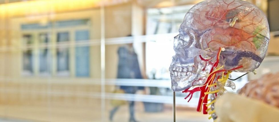 36068 skull 1209733 1920 kup