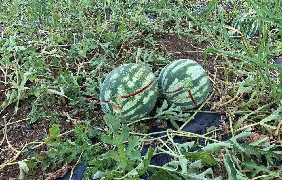 361576344 688594656627593 3401744469495993134 n