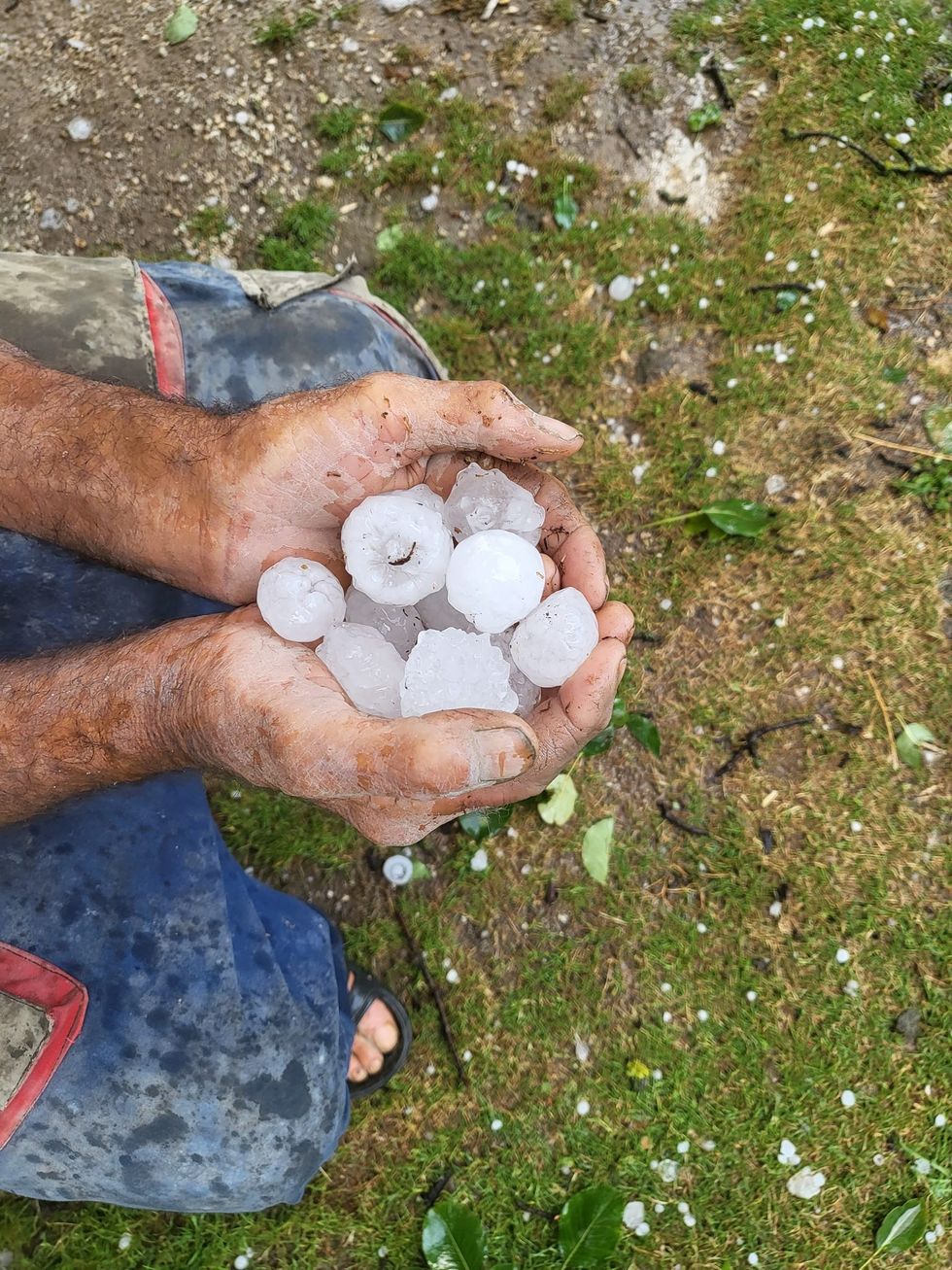 362313689 7095858947097123 8320831974838326406 n