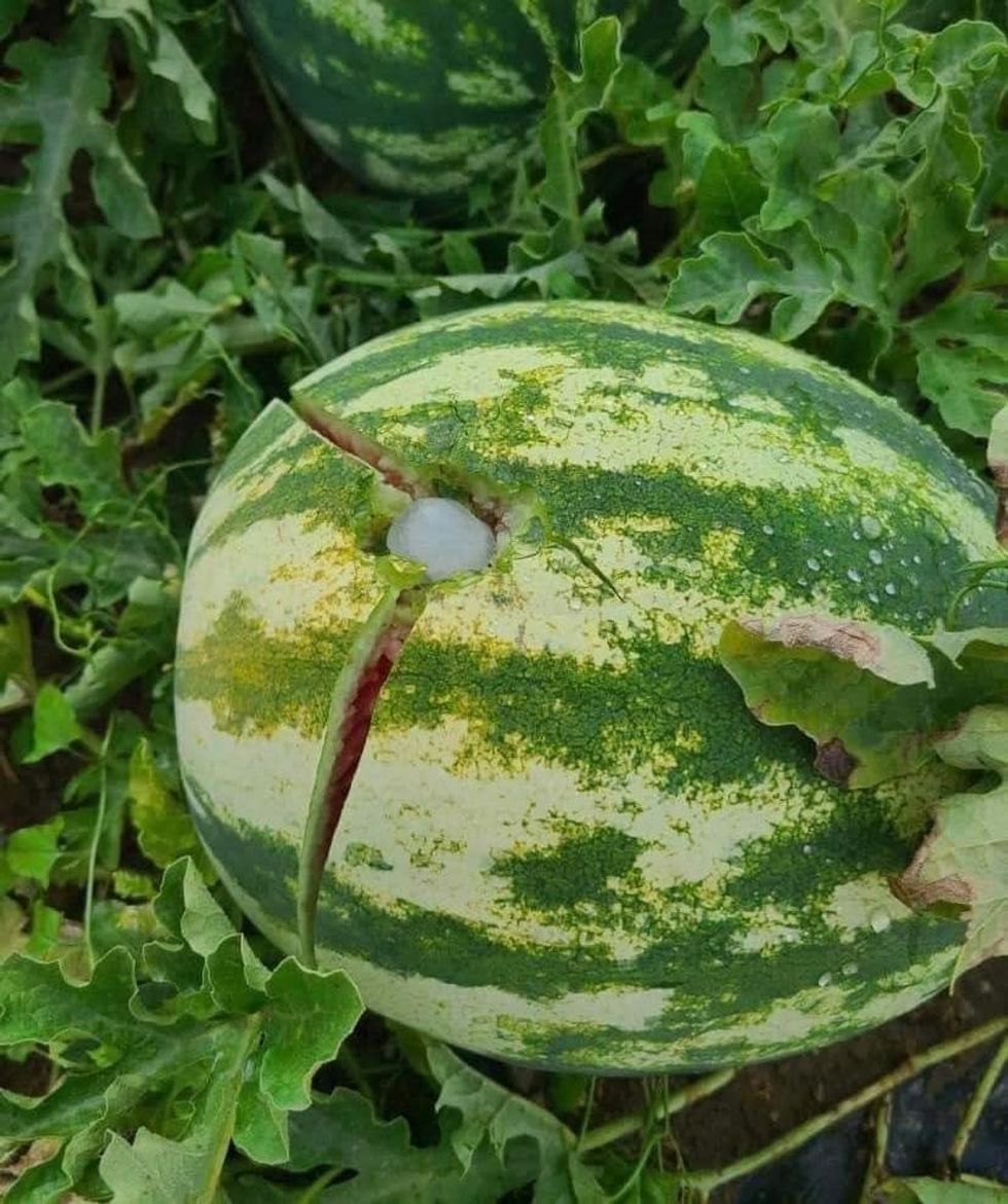 362681131 688594669960925 6412934251898443122 n