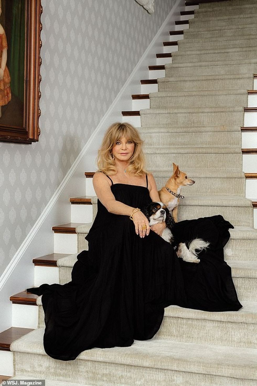 36277362 9002331 image a 17 1606762193623