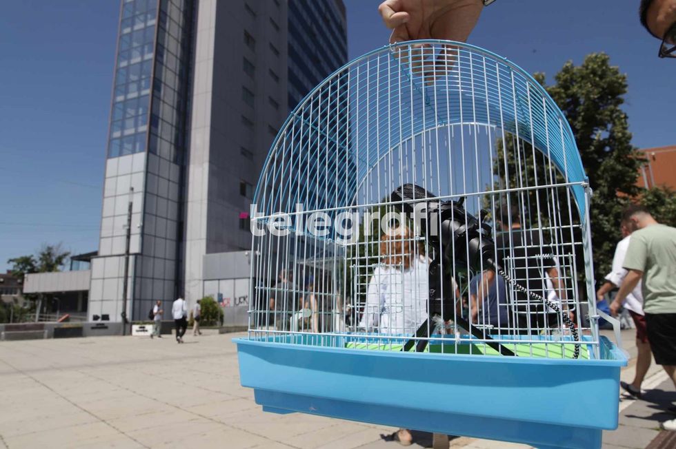 364172661 293967646643508 3584146648926324978 n