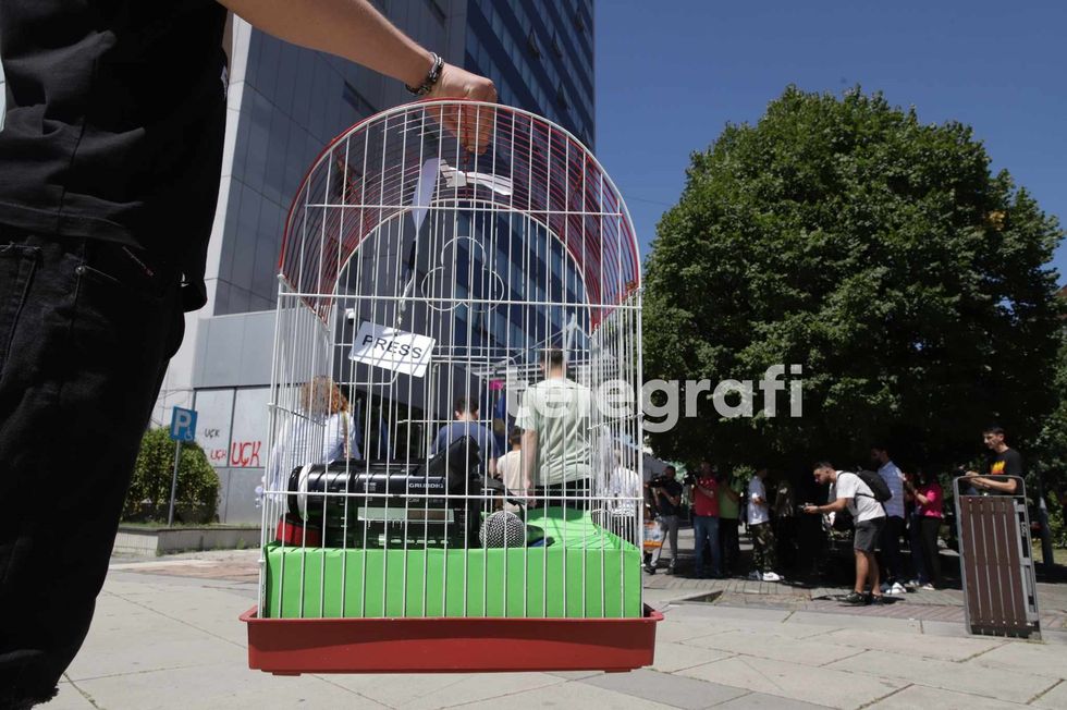 364212703 981303903190440 4269457302104928083 n