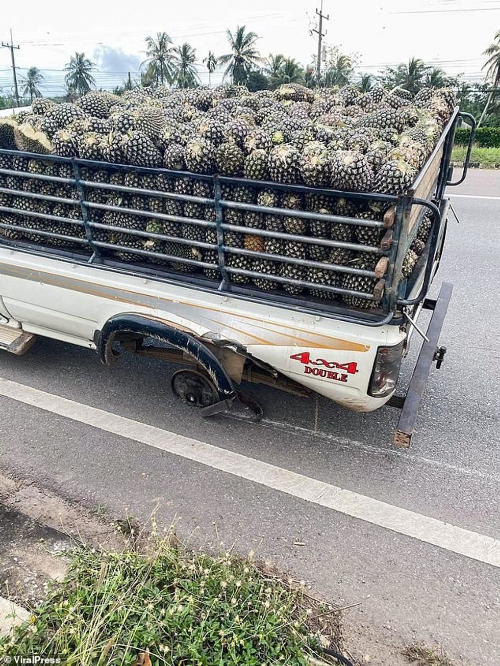 36541082 9026049 image a 32 1607341449066