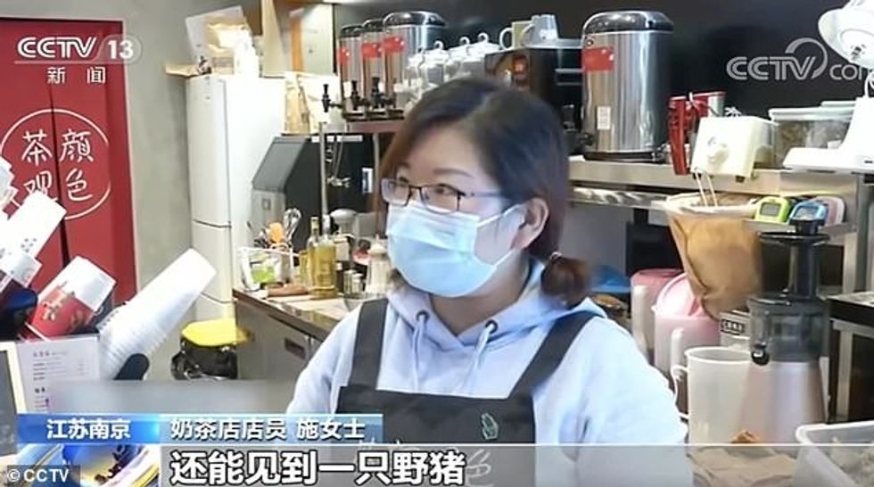 36542702 9025891 image a 33 1607342588980