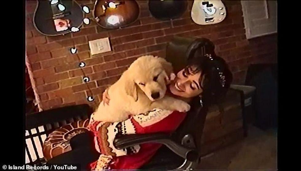 36575142 0 image a 122 1607398057880