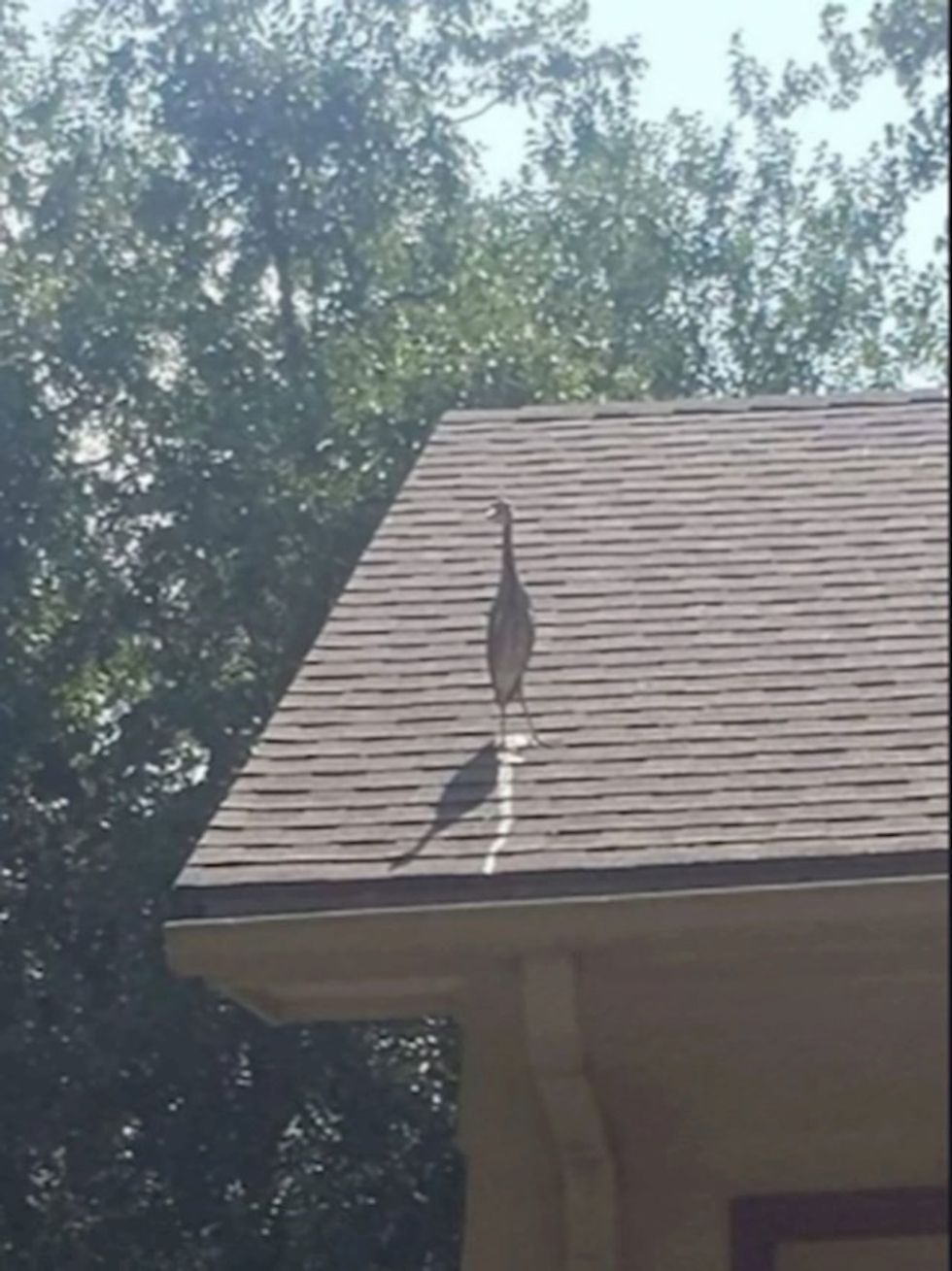 36c3f89a 7eab 4ce6 816a df99e2e33b4c