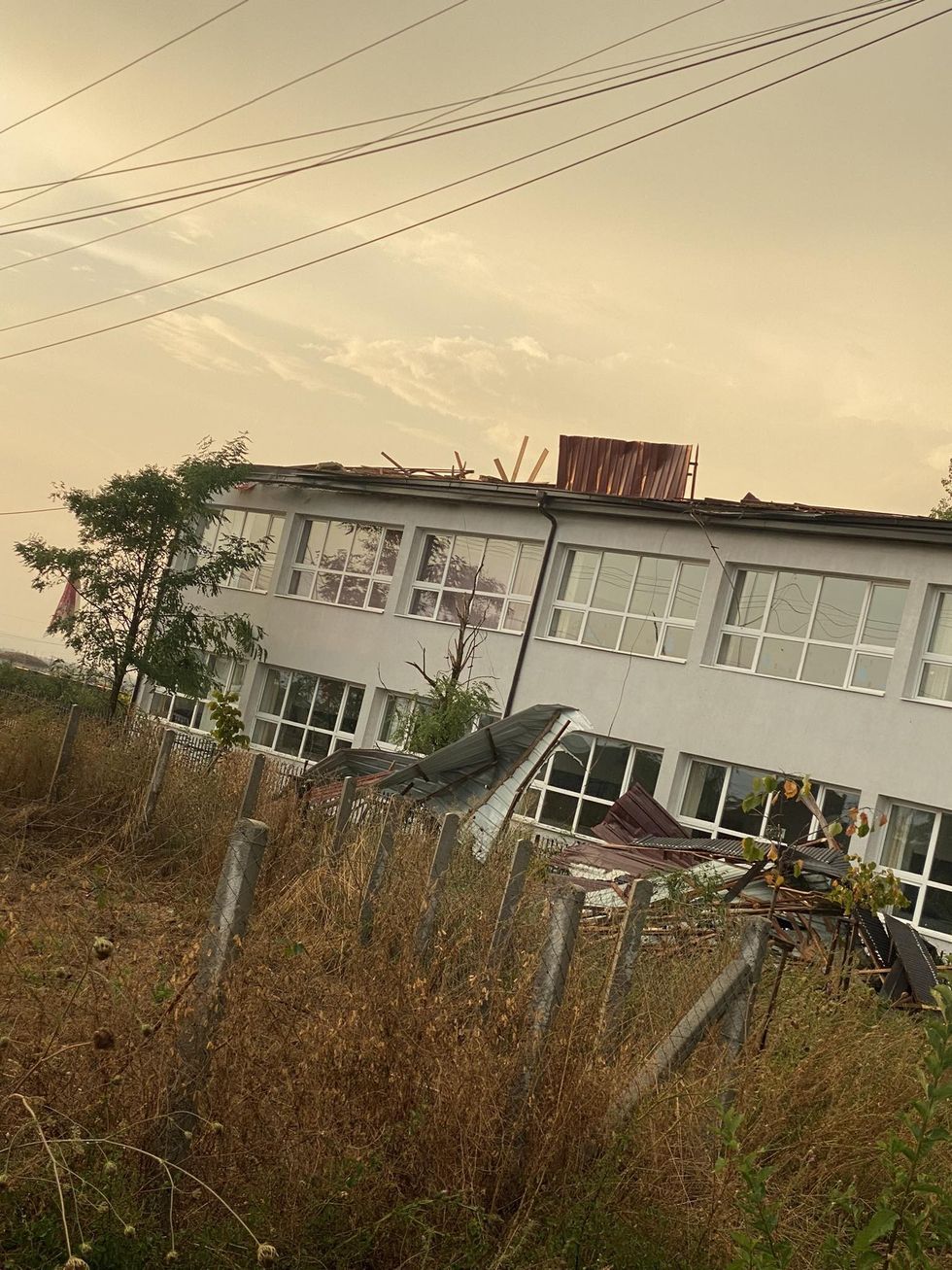 371310605 1013639932994136 8439757572242267392 n 1