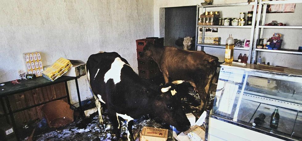 371488992 1721201808293859 3741081923925695406 n