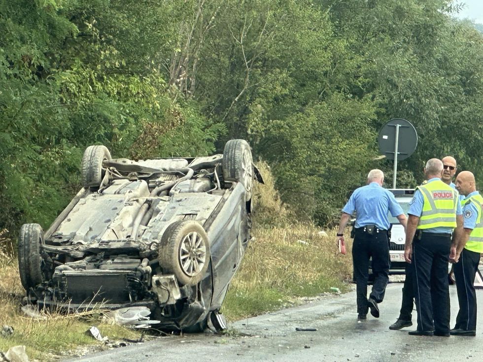 371500193 612531391066597 3676609313442209619 n