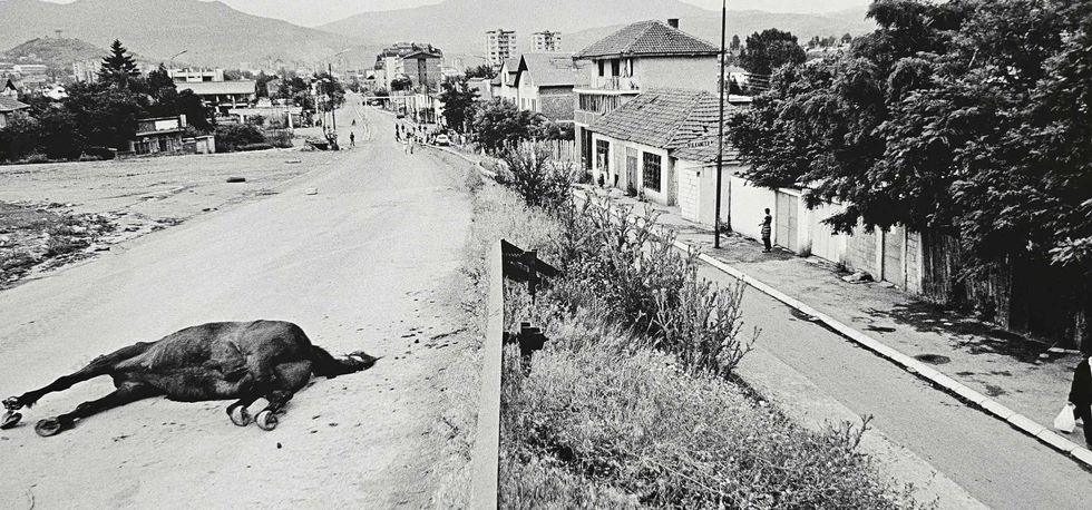 371539823 1591607631366642 2186729049687050250 n