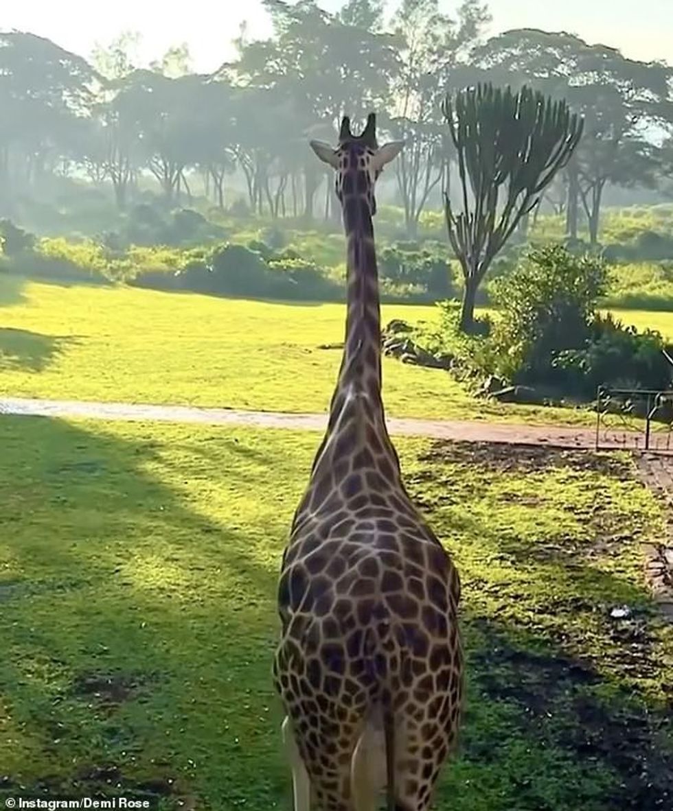 37241896 9086993 image m 7 1608858963944