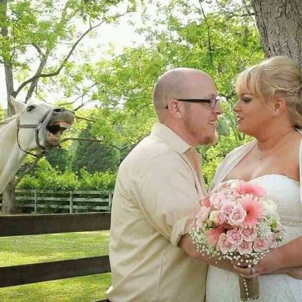 3747dd1b e5e7 4dcc a07b f94c57189d97