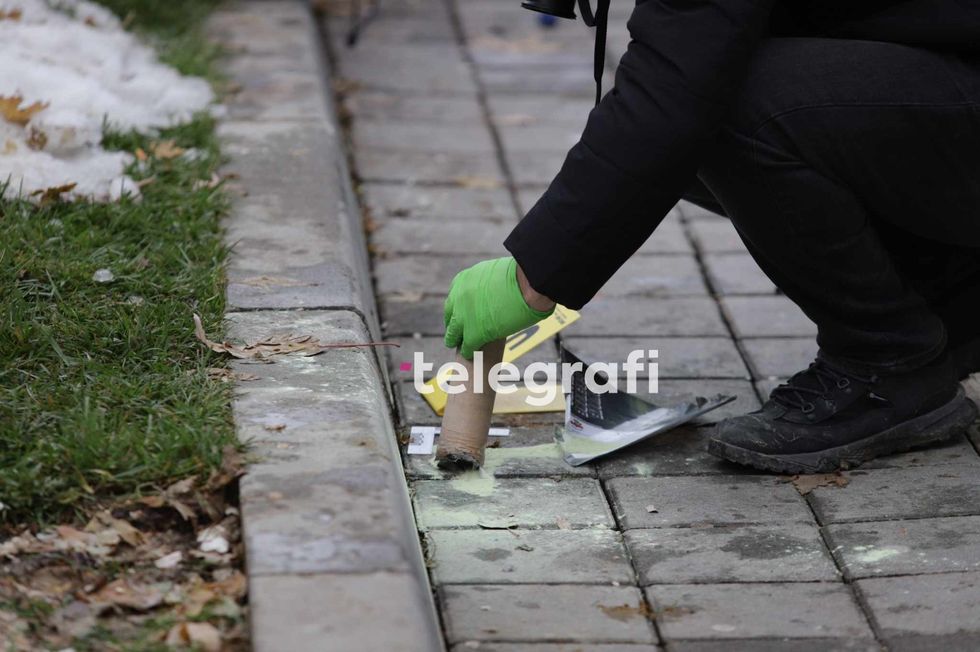 377151196 261865866875629 868751452965903591 n