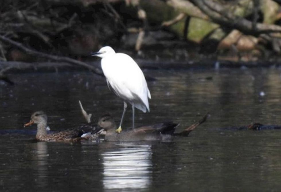 3788944d 6ac4 479f b957 5fc565f8b306