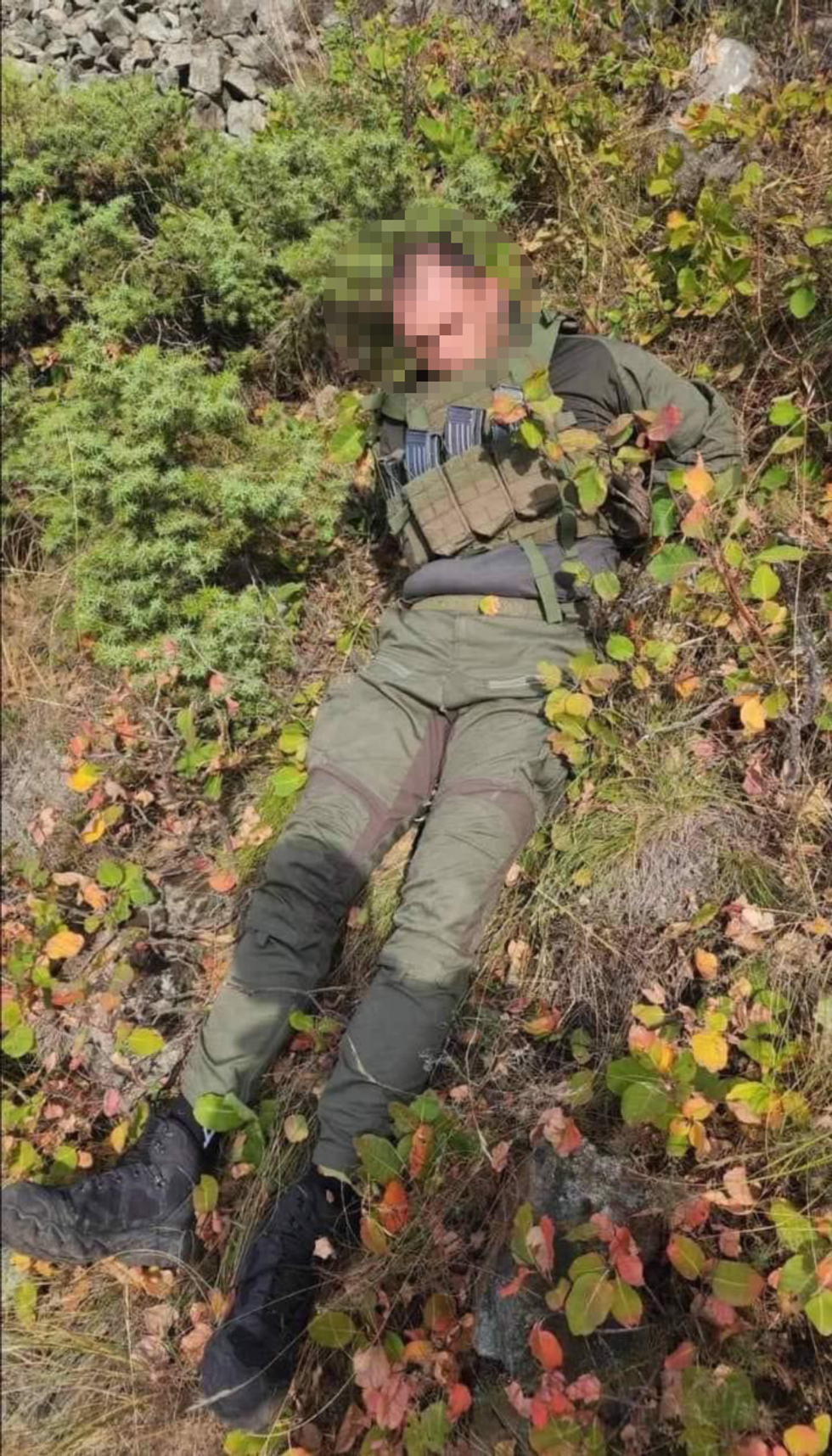 379642714 700090028678992 1136458052312956128 n