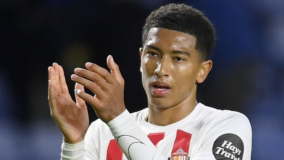 3804704 77384008 2560 1440