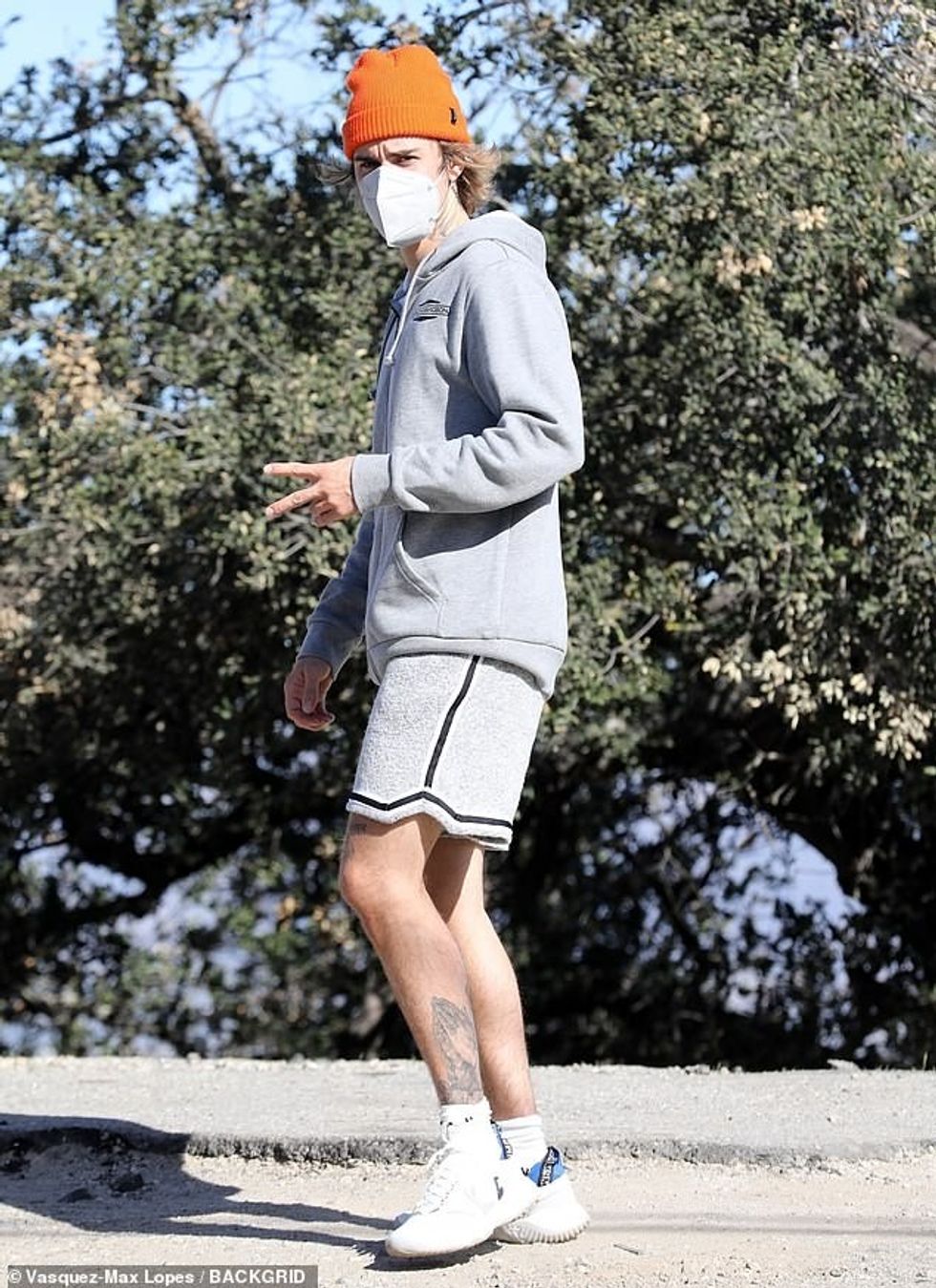 38090666 9155263 image m 87 1610830157125