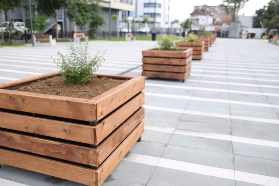 38132810 10157656908012166 2019748374269394944 n