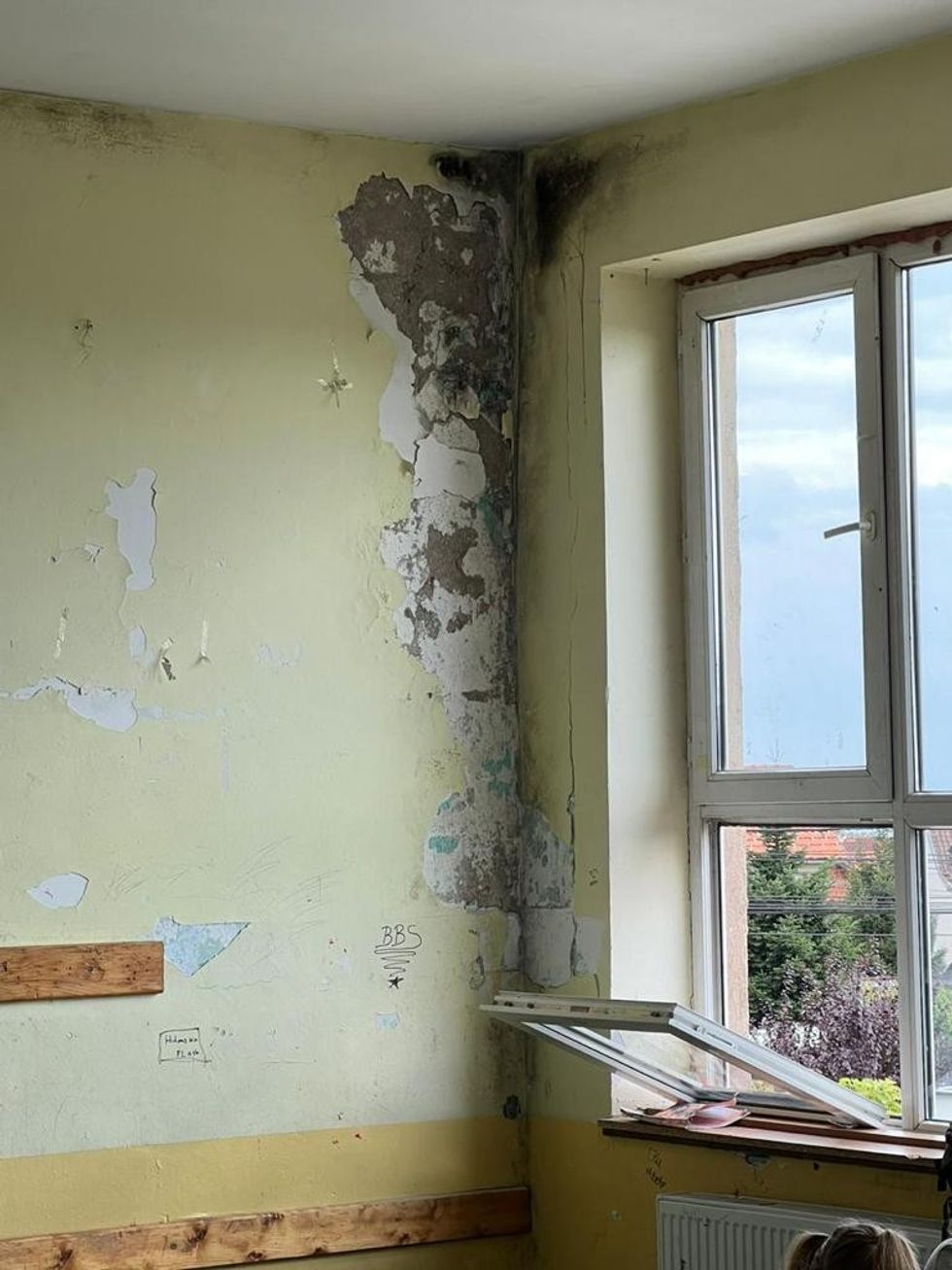 381471966 6863162207037418 1160717077512801693 n